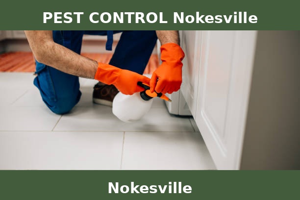 PEST CONTROL Nokesville